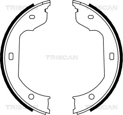 Triscan 8100 11012 - Kit ganasce freno autozon.pro