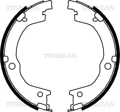 Triscan 8100 18006 - Kit ganasce freno autozon.pro