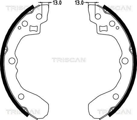 Triscan 8100 18001 - Kit ganasce freno autozon.pro