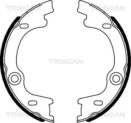 Triscan 8100 18010 - Kit ganasce, Freno stazionamento autozon.pro