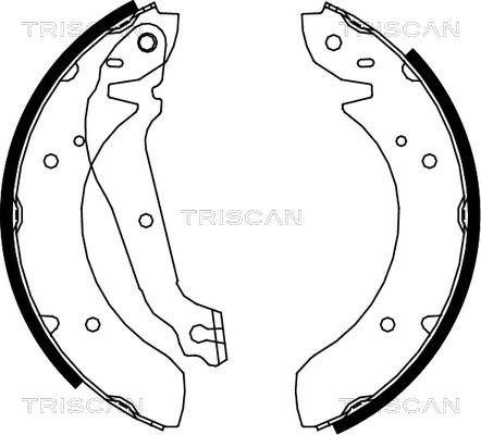 Triscan 8100 18013 - Kit ganasce freno autozon.pro