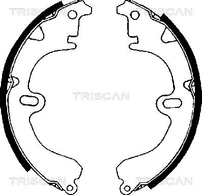 Triscan 8100 13423 - Kit ganasce freno autozon.pro