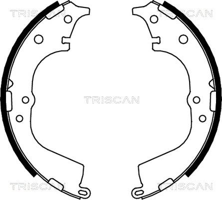 Triscan 8100 13591 - Kit ganasce freno autozon.pro