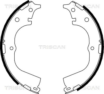 Triscan 8100 13557 - Kit ganasce freno autozon.pro