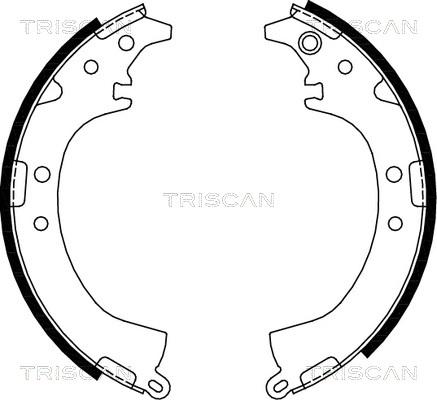 Triscan 8100 13569 - Kit ganasce freno autozon.pro