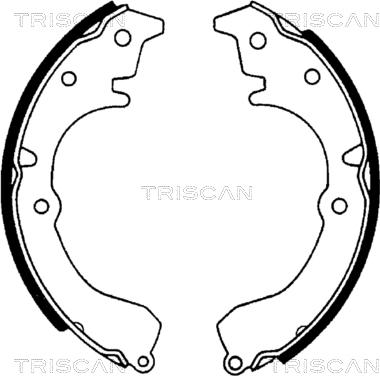 Triscan 8100 13502 - Kit ganasce freno autozon.pro