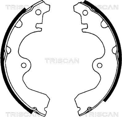 Triscan 8100 13534 - Kit ganasce freno autozon.pro