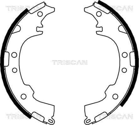 Triscan 8100 13601 - Kit ganasce freno autozon.pro