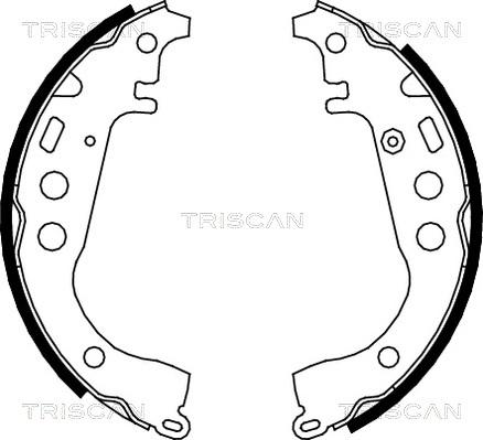 Triscan 8100 13617 - Kit ganasce freno autozon.pro