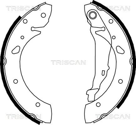 Triscan 8100 13624 - Kit ganasce freno autozon.pro