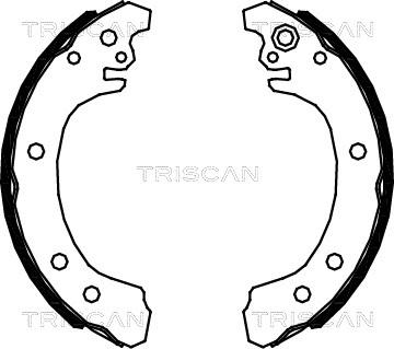 Triscan 8100 13049 - Kit ganasce freno autozon.pro