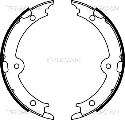 Triscan 8100 13045 - Kit ganasce, Freno stazionamento autozon.pro