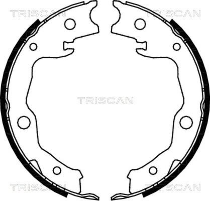 Triscan 8100 13042 - Kit ganasce freno autozon.pro