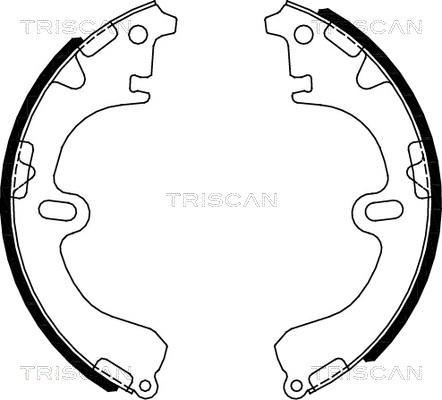 Triscan 8100 13051 - Kit ganasce freno autozon.pro