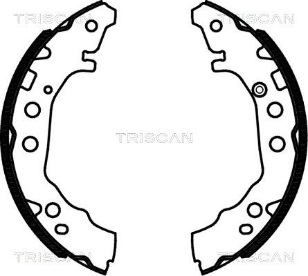 Triscan 8100 13052 - Kit ganasce freno autozon.pro