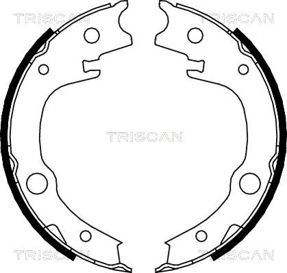 Triscan 8100 13039 - Kit ganasce, Freno stazionamento autozon.pro