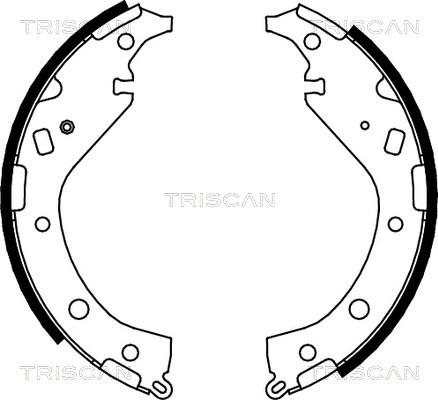 Triscan 8100 13034 - Kit ganasce freno autozon.pro