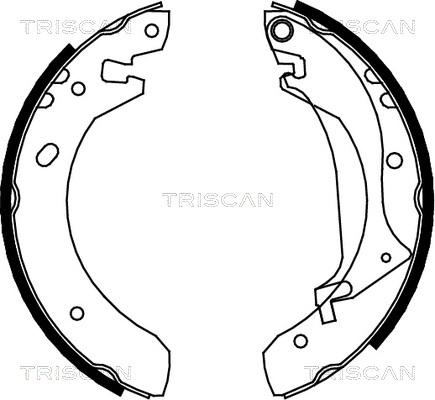 Triscan 8100 17634 - Kit ganasce freno autozon.pro