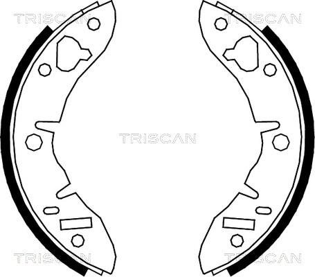 Triscan 8100 17003 - Kit ganasce freno autozon.pro