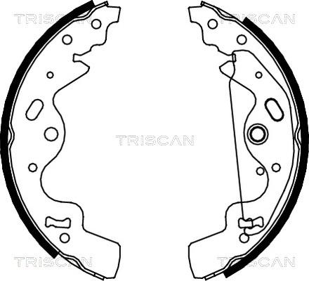 Triscan 8100 17010 - Kit ganasce freno autozon.pro