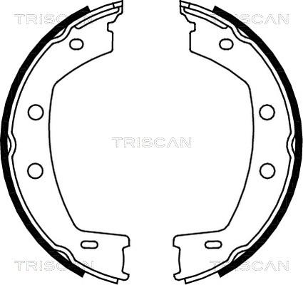 Triscan 8100 17013 - Kit ganasce, Freno stazionamento autozon.pro