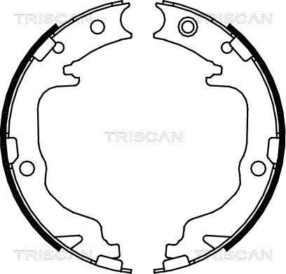 Triscan 8100 80010 - Kit ganasce, Freno stazionamento autozon.pro