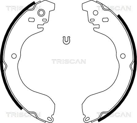 Triscan 8100 80017 - Kit ganasce freno autozon.pro