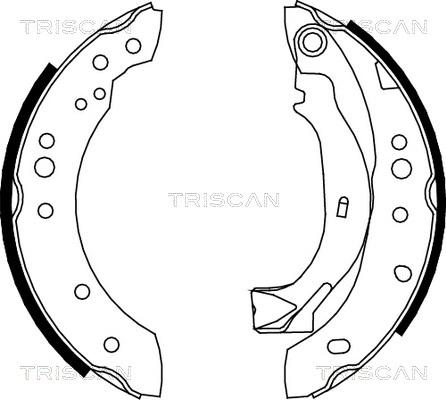 Triscan 8100 38001 - Kit ganasce freno autozon.pro