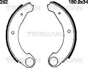 Triscan 8100 38262 - Kit ganasce freno autozon.pro