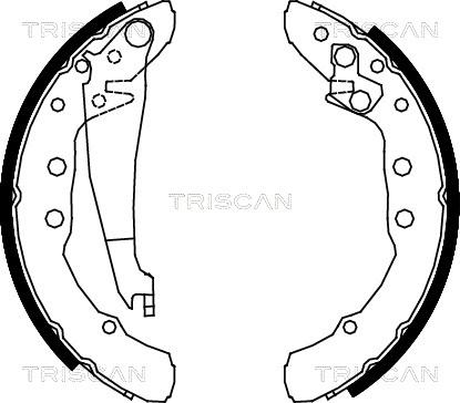 Triscan 8100 29530 - Kit ganasce freno autozon.pro