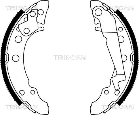 Triscan 8100 29001 - Kit ganasce freno autozon.pro