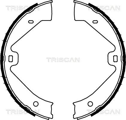 Triscan 8100 29002 - Kit ganasce, Freno stazionamento autozon.pro