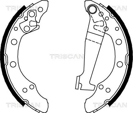 Triscan 8100 29345 - Kit ganasce freno autozon.pro