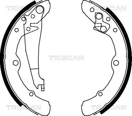 Triscan 8100 29343 - Kit ganasce freno autozon.pro