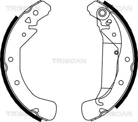 Triscan 8100 24589 - Kit ganasce freno autozon.pro