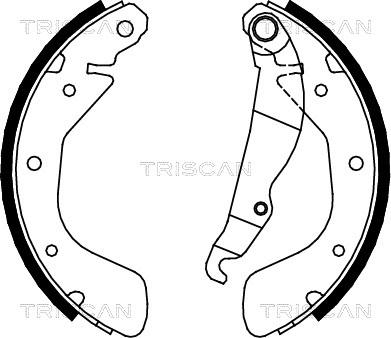 Triscan 8100 24539 - Kit ganasce freno autozon.pro