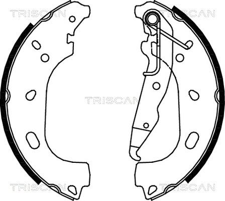 Triscan 8100 24004 - Kit ganasce freno autozon.pro