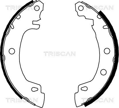 Triscan 8100 25581 - Kit ganasce freno autozon.pro