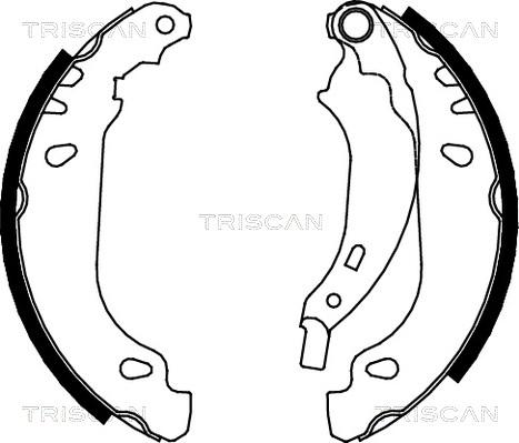 Triscan 8100 25637 - Kit ganasce freno autozon.pro