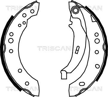 Triscan 8100 25005 - Kit ganasce freno autozon.pro