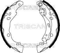 Triscan 8100 25001 - Kit ganasce freno autozon.pro