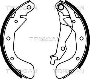 Triscan 8100 21611 - Kit ganasce freno autozon.pro