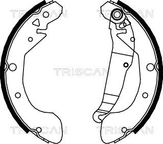 Triscan 8100 21612 - Kit ganasce freno autozon.pro