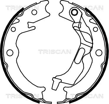 Triscan 8100 21001 - Kit ganasce freno autozon.pro