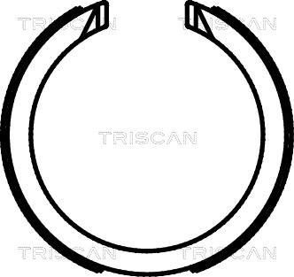 Triscan 8100 21003 - Kit ganasce, Freno stazionamento autozon.pro