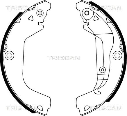 Triscan 8100 21002 - Kit ganasce freno autozon.pro