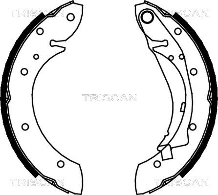 Triscan 8100 28598 - Kit ganasce freno autozon.pro