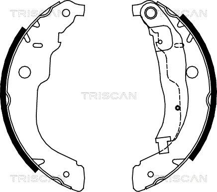 Triscan 8100 28053 - Kit ganasce freno autozon.pro