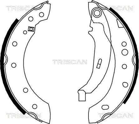 Triscan 8100 28052 - Kit ganasce freno autozon.pro