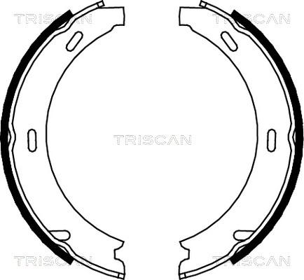 Triscan 8100 23412 - Kit ganasce freno autozon.pro